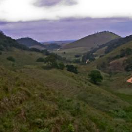 A Conservation Conversation with Dr. Stuart Pimm